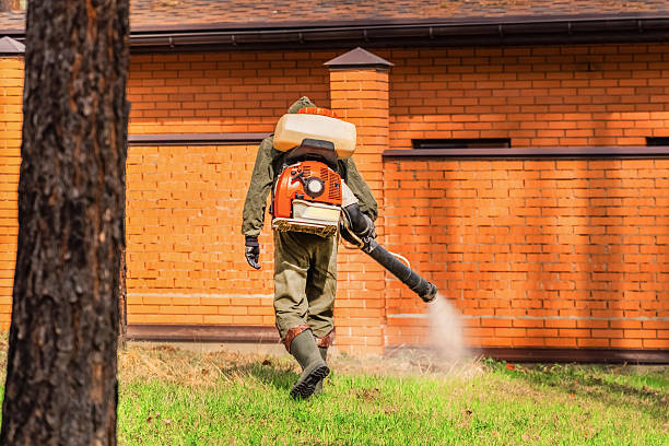 Trusted Ant Control service in Fort Belknap Agency, MT - Nex Pest Control